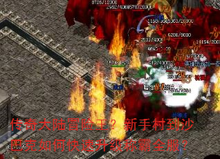 �����½ð���������ִ嵽ɳ�Ϳ���ο��������ư�ȫ����