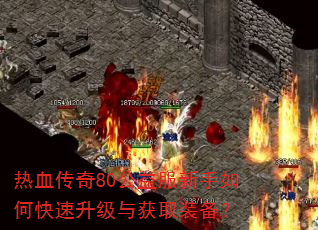 热血传奇80公益服新手如何快速升级与获取装备? 热血传奇80公益服新手如何快速升级与获取装备?