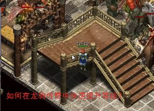如何在龙驹传奇中快速提升等级? 如何在龙驹传奇中快速提升等级?