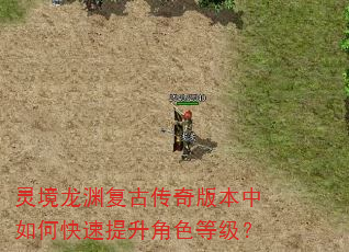 灵境龙渊复古传奇版本中如何快速提升角色等级? 灵境龙渊复古传奇版本中如何快速提升角色等级?