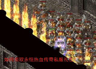 �����ȡ������Ѫ����˽�������