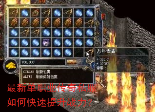 ���µ�ְҵ����˽����ο�������ս����