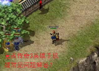 ���Ŵ���3Ӣ���ֻ��泣��������