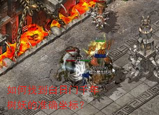 如何找到白日门千年树妖的准确坐标? 如何找到白日门千年树妖的准确坐标?