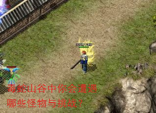 毒蛇山谷中你会遭遇哪些怪物与挑战? 毒蛇山谷中你会遭遇哪些怪物与挑战?