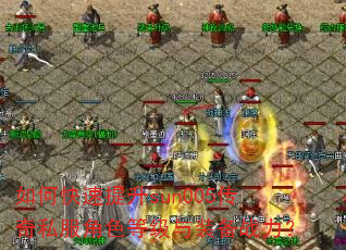 ��ο�������sun005����˽����ɫ�ȼ���װ��ս����
