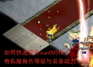 ��ο�������sun005����˽����ɫ�ȼ���װ��ս����