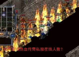 ��β�ѯ��Ѫ����˽������������