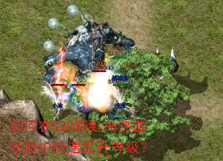 �����520�ʺ絺��Ѫ˽���п��������ȼ���