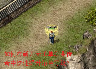 如何在新开无杀单职业传奇中快速提升角色等级? 如何在新开无杀单职业传奇中快速提升角色等级?