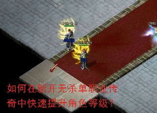 如何在新开无杀单职业传奇中快速提升角色等级? 如何在新开无杀单职业传奇中快速提升角色等级?
