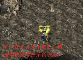 如何在新开无杀单职业传奇中快速提升角色等级? 如何在新开无杀单职业传奇中快速提升角色等级?
