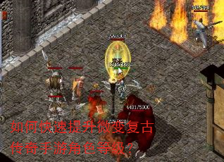 ��ο�������΢�临�Ŵ������ν�ɫ�ȼ���