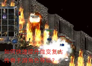 ��ο�������΢�临�Ŵ������ν�ɫ�ȼ���