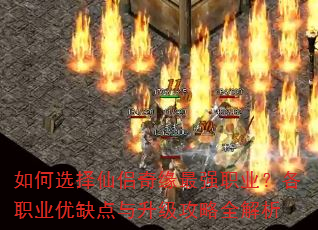 ���ѡ��������Ե��ǿְҵ����ְҵ��ȱ������������ȫ����