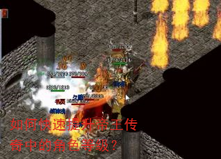 如何快速提升帝王传奇中的角色等级? 如何快速提升帝王传奇中的角色等级?