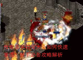 �������ַ��Ŵ�ȫ��ο������գ����ֱر����Խ���