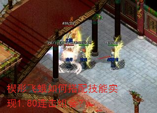 楔形飞蛾如何搭配技能实现1.80连击组合? 楔形飞蛾如何搭配技能实现1.80连击组合?