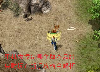 �����洫���ĸ��汾������棿���ֹ���ȫ����