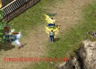 ��BOSSǰ������ֽ�ս��Զ�̣�