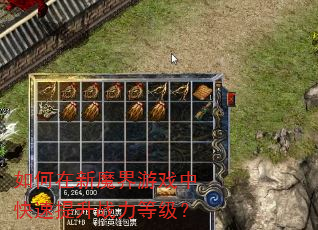 如何在新魔界游戏中快速提升战力等级? 如何在新魔界游戏中快速提升战力等级?