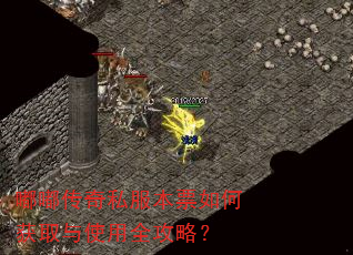 嘟嘟传奇私服本票如何获取与使用全攻略? 嘟嘟传奇私服本票如何获取与使用全攻略?