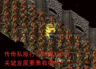 传奇私服行会如何壮大?关键发展要素有哪些? 传奇私服行会如何壮大?关键发展要素有哪些?