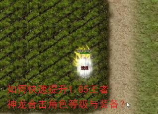 如何快速提升1.85王者神龙合击角色等级与装备? 如何快速提升1.85王者神龙合击角色等级与装备?