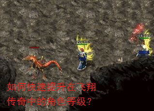 如何快速提升在飞翔传奇中的角色等级? 如何快速提升在飞翔传奇中的角色等级?