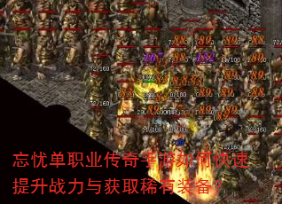 ���ǵ�ְҵ����������ο�������ս�����ȡϡ��װ����